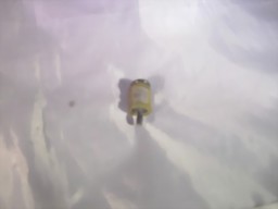 Zeige Details für Husqvarna 136 137 141 und 142 Benzinfilter / Kraftstofffilter Bild von Husqvarna 136 137 141 und 142 Benzinfilter / Kraftstofffilter